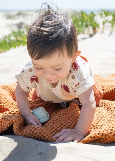 T-shirt en gaze de coton biologique - Molusk | Coco Village