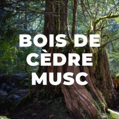 Déodorant - Bois de cèdre-musc | Kali