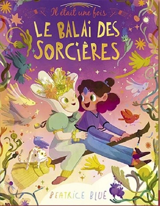 Le balai des sorcières | Les Malins